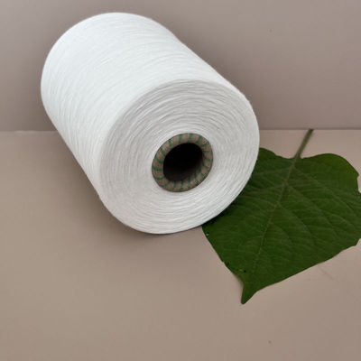40S/1 30S/2 Originele hardnekkige viscose garens leveranciers